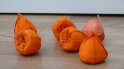 Dekorace do podzimního truhlíku - sušené plody