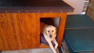 Doghouse warme Serie 195x105x100cm